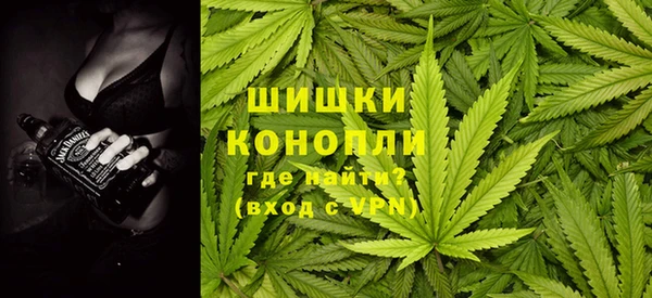 МДПВ Дмитров