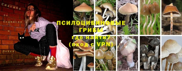 первитин Дмитровск